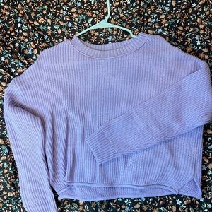Wild fable cropped sweater